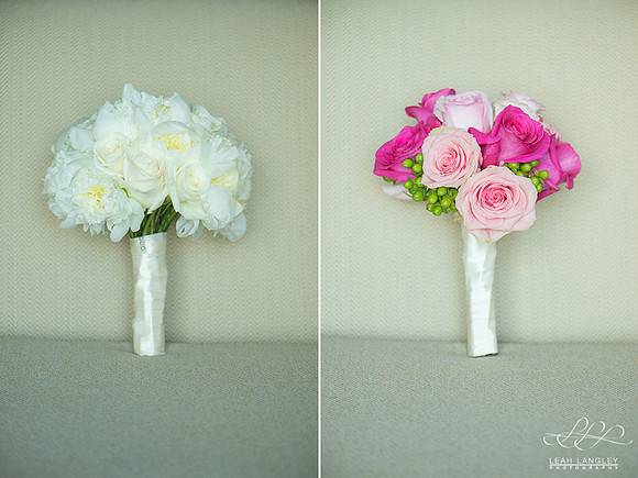 Omni-109a